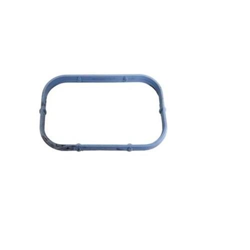 GASKET INTAKE PLENUM