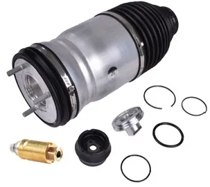 Repair Kit Front Strut, Air Spring Only